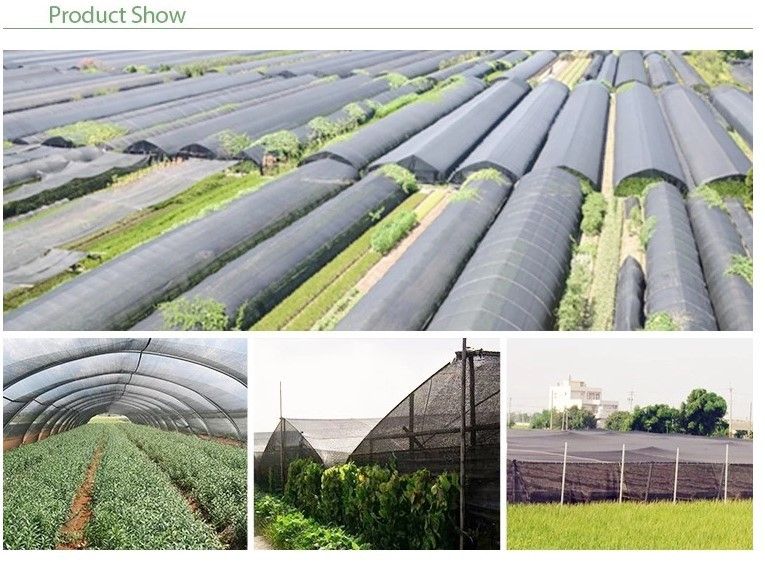 UV Treated Greenhouse Shade Net / Green Garden Net For Roofing