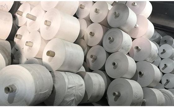 650D - 2000D PP Woven Cloth 100% Polypropylene Fabric Customized